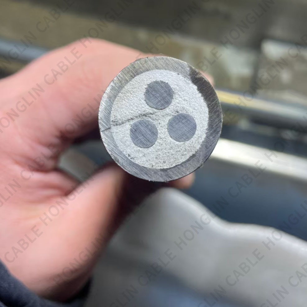 Mineral Insulated (MI) Cables: The Ultimate Solution for Extreme Environments