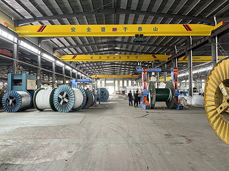Power Uncompromised: Why 2 Core Rubber Cable Is the Lifeline of Heavy-Duty Applications