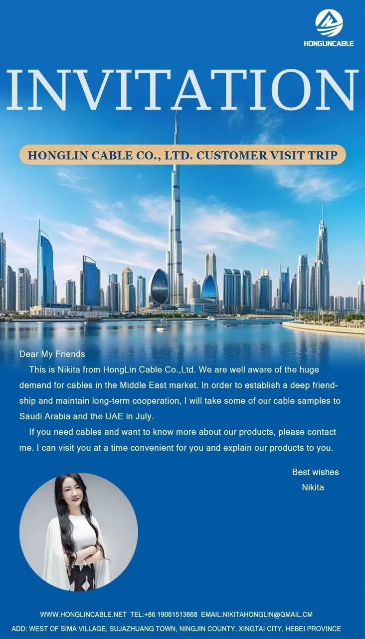 HONGLIN CABLE CO., LTD Embarks on Strategic Client Visit to the Middle East