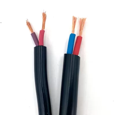 RVV 2*10mm2 Cable Order from Cambodian Client Dom Twenty