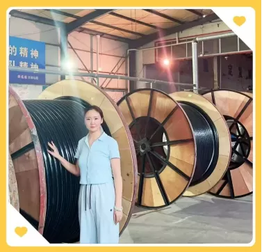 Customer Success Case — 1,000 m of Low-Smoke Zero-Halogen Power Cable Supplied to New Caledonia