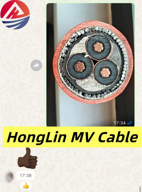 Powering Malaysia’s Infrastructure: How HonglinCable Delivered High-Performance MV CABLE 3*35 to Primage Engineering