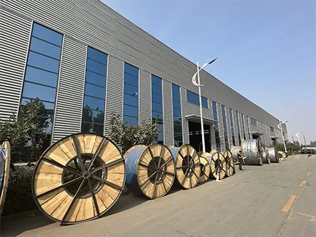 Power Uncompromised: Why 2 Core Rubber Cable Is the Lifeline of Heavy-Duty Applications