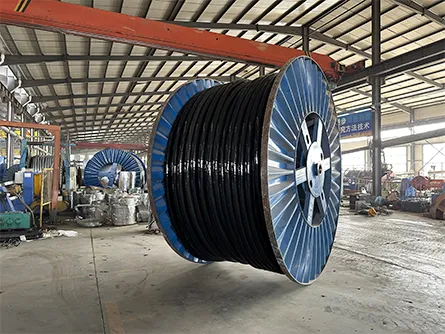 Honglin LV Cable